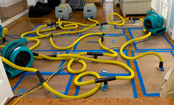 Professional Storm Water Damage Restoration technician working in Williamsburg, PA